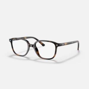 RAY BAN RB9093V